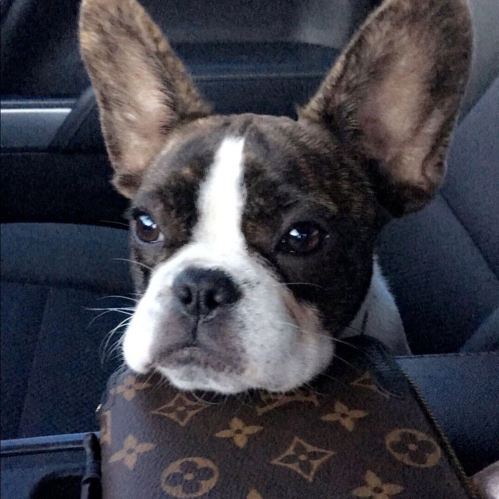 Meet your Posher, Kaleigh